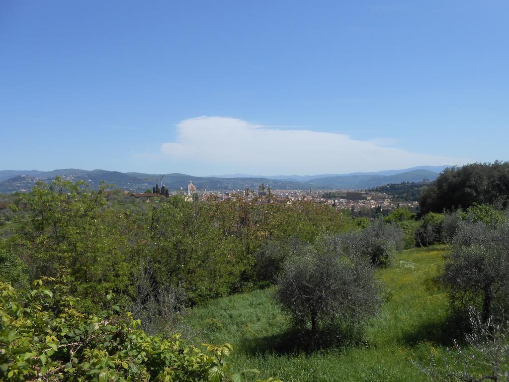 Relaxing Place In Oltrarno Appartement Florence Buitenkant foto